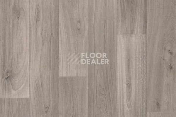 Линолеум FORBO Sarlon Wood 15dB 8412T4315 grey silver oak фото 1 | FLOORDEALER